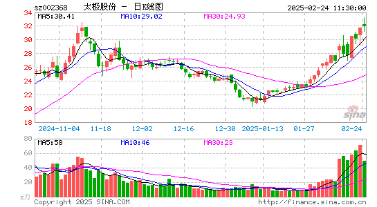 太极股份