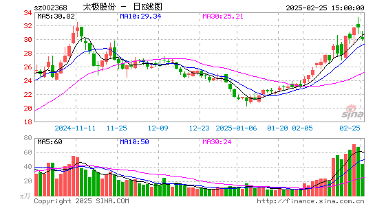 太极股份