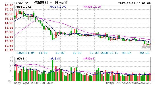 伟星新材