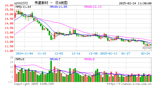 伟星新材