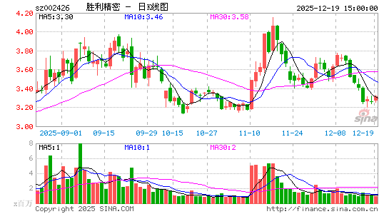 ʤ������