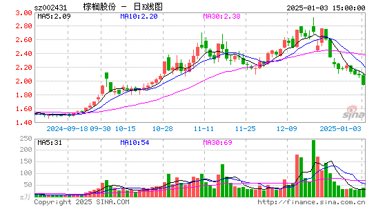 棕榈股份