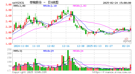 棕榈股份