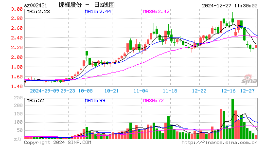 棕榈股份