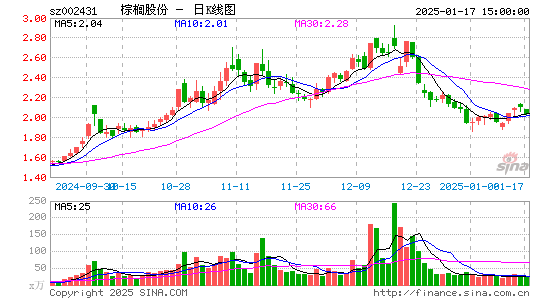 棕榈股份