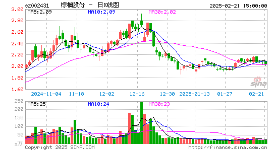 棕榈股份