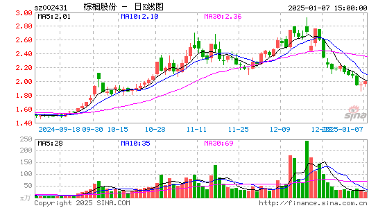 棕榈股份