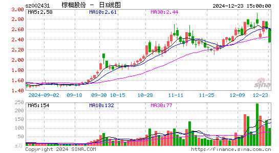 棕榈股份