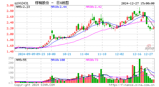 棕榈股份