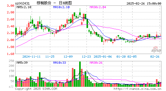 棕榈股份