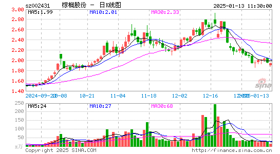 棕榈股份