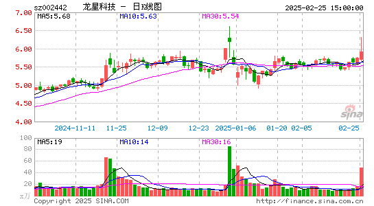 龙星化工