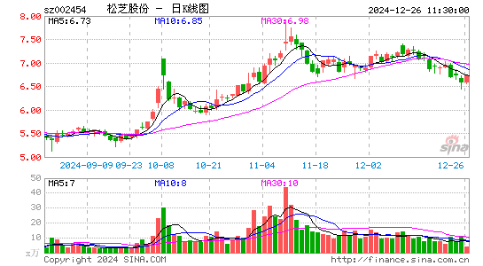 松芝股份