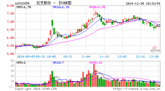 松芝股份