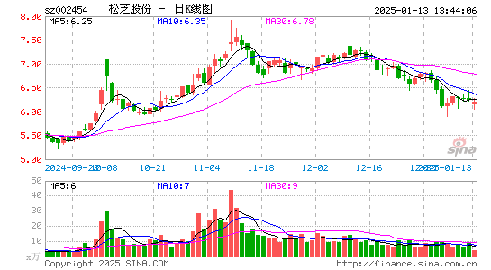 松芝股份