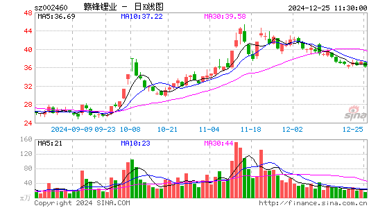 赣锋锂业