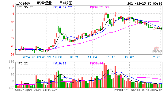 赣锋锂业