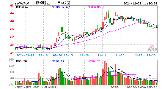 赣锋锂业