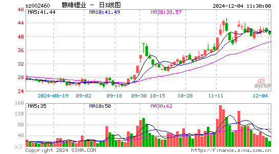 赣锋锂业