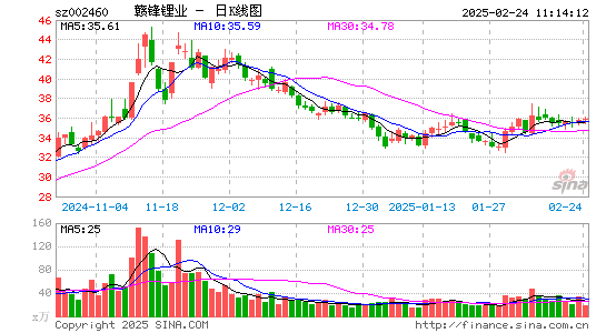 赣锋锂业