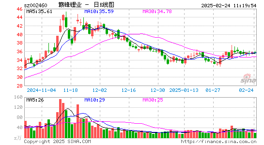 赣锋锂业