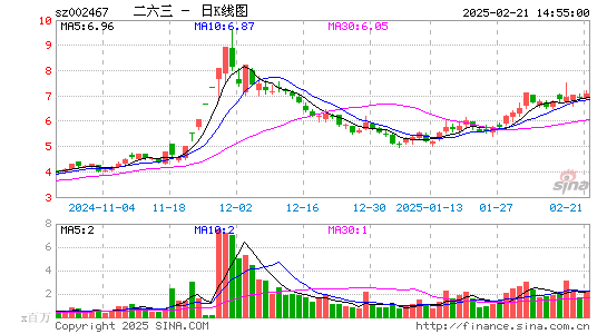 二六三