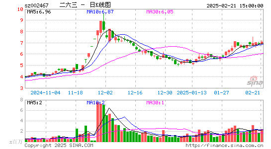 二六三