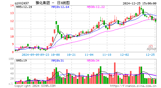 雅化集团