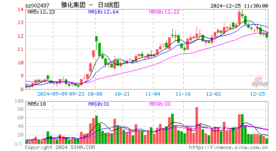 雅化集团