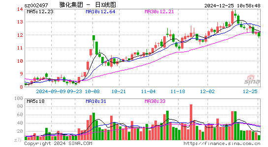 雅化集团