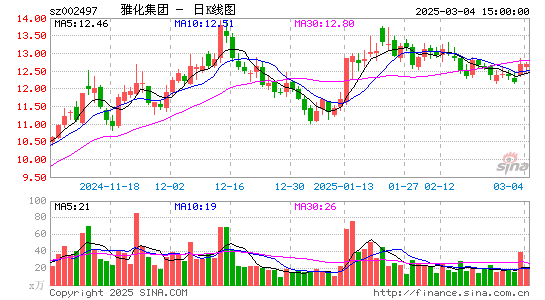 雅化集团