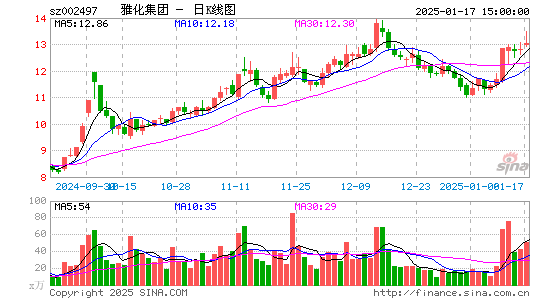 雅化集团