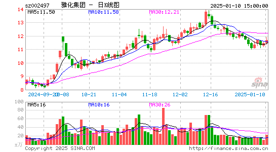 雅化集团