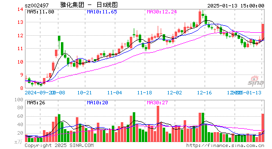 雅化集团