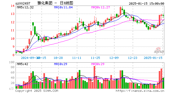 雅化集团