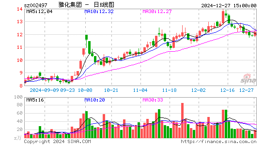 雅化集团