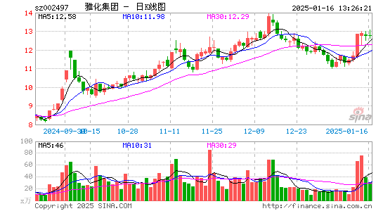 雅化集团