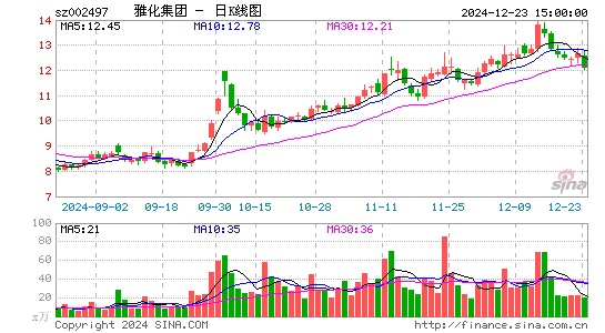 雅化集团