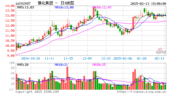 雅化集团