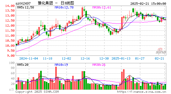 雅化集团