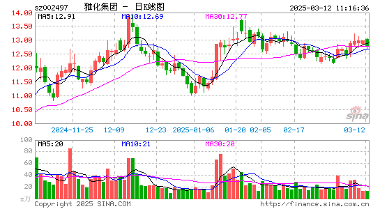 雅化集团