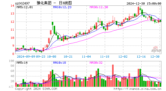 雅化集团