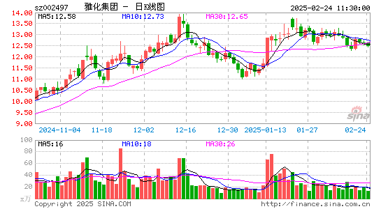 雅化集团