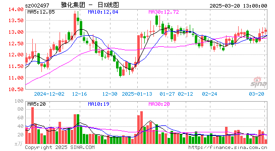 雅化集团