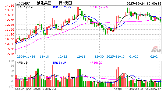 雅化集团