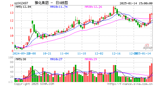 雅化集团