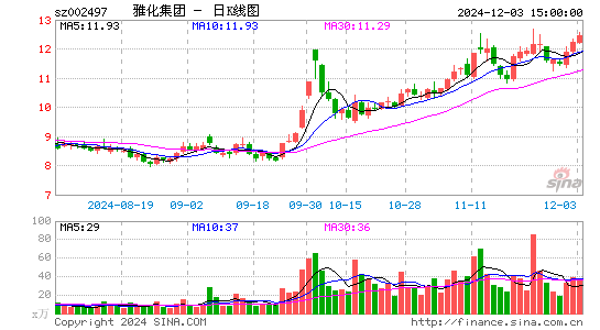 雅化集团