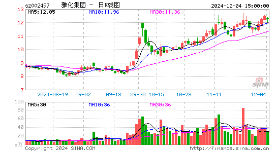 雅化集团