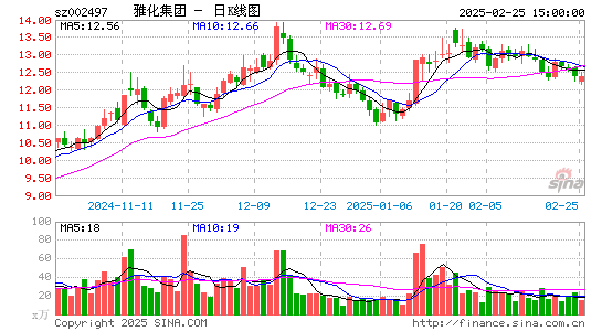 雅化集团