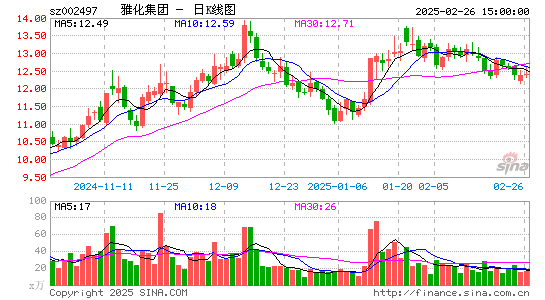 雅化集团